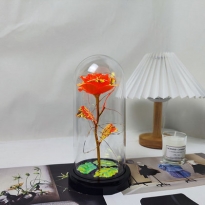 工厂直销跨境爆款炫彩永生金箔玫瑰花玻璃罩小夜灯创意礼品